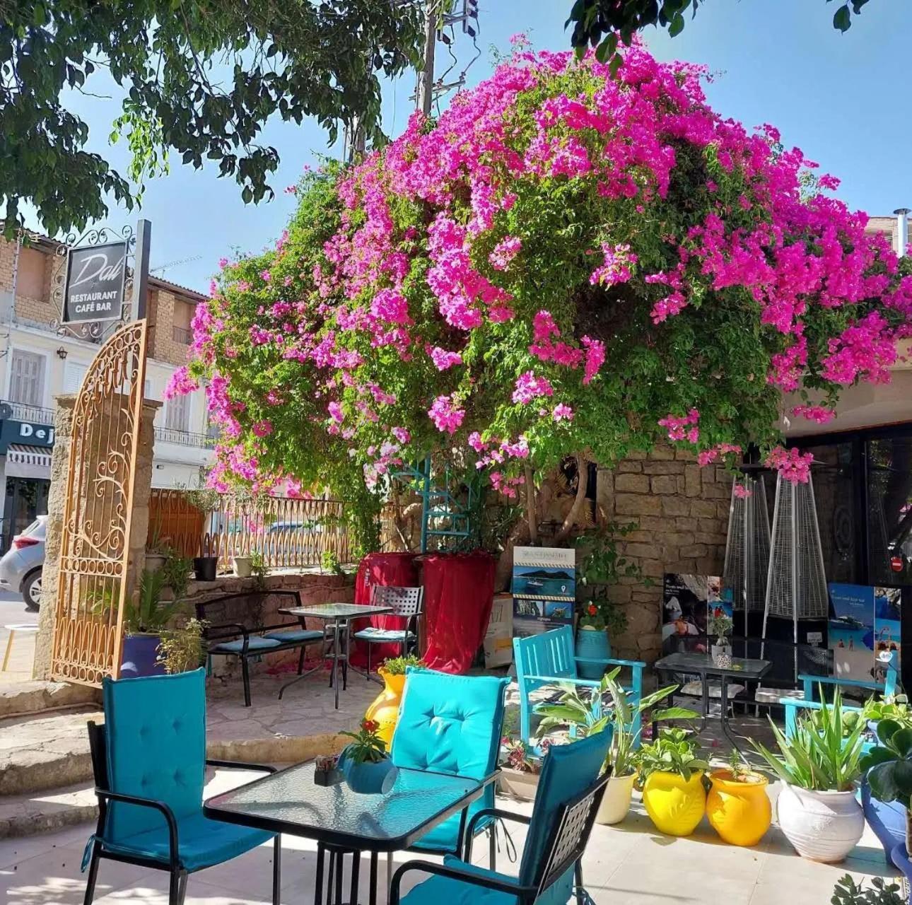 Amina * Zakynthos